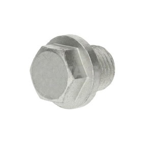 Achetez des Vis-bouchon, carter d'huile SWAG 33 11 2955 à prix pour 5,55 €