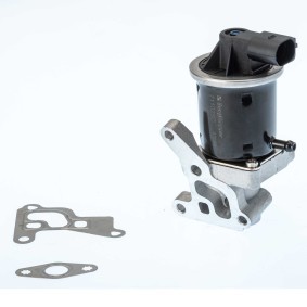 Comprar Válvula EGR de BorgWarner 711028D a bajo precio de 137,16 €