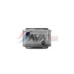 Achetez des Radiateur du moteur AVA COOLING SYSTEMS HD2053 à prix pour 94,83 €