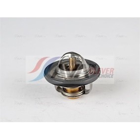 Achetez des Radiateur du moteur AVA COOLING SYSTEMS IV2094 à prix pour 868,31 €