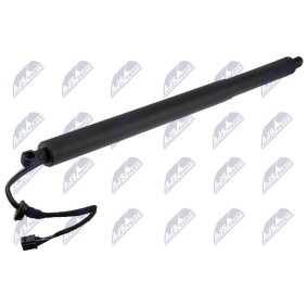 Heckklappe-Motor AE-HY-056 von NTY günstig für 128,62 € online kaufen