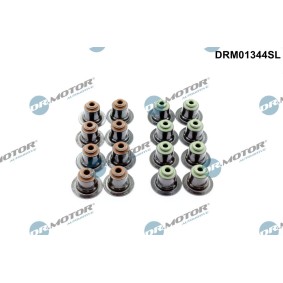 Achetez des Jeu de joints d'étanchéité, tige de soupape DR.MOTOR AUTOMOTIVE DRM01344SL à prix pour 25,02 €
