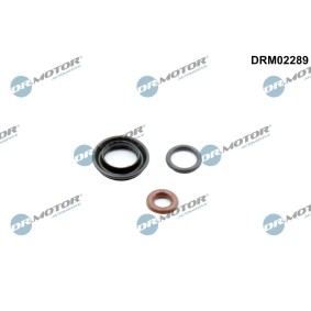 Achetez des Kit de joints, injecteur DR.MOTOR AUTOMOTIVE DRM02289 à prix pour 10,04 €