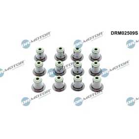 Dichtungssatz, Ventilschaft von DR.MOTOR AUTOMOTIVE DRM02509S