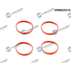 Acquista Kit guarnizioni, Collettore aspirazione da DR.MOTOR AUTOMOTIVE DRM02521S a buon mercato per soli 12,33 €