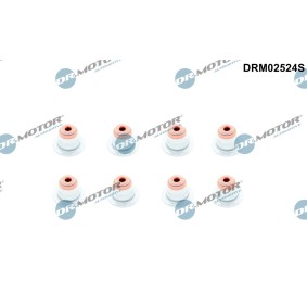 Dichtungssatz, Ventilschaft DRM02524S ALPINA B5 von DR.MOTOR AUTOMOTIVE