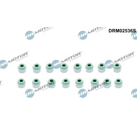 Osta Tiivistesarja, venttiilivarsi DR.MOTOR AUTOMOTIVE:llä DRM02536S edullisesti hintaan 13,98 €