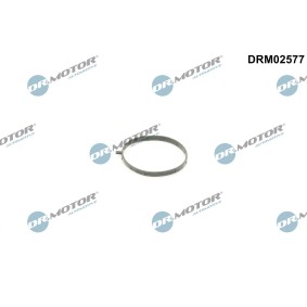 Osta Tiiviste, kaasuläpän liitin DR.MOTOR AUTOMOTIVE:llä DRM02577 edullisesti hintaan 9,16 €