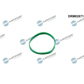 Dichtung, Drosselklappe DRM02671