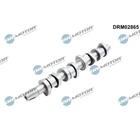 Acquista Albero a camme da DR.MOTOR AUTOMOTIVE DRM02865 a buon mercato per soli 122,14 €