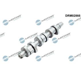 Acquista Albero a camme da DR.MOTOR AUTOMOTIVE DRM02866 a buon mercato per soli 109,44 €