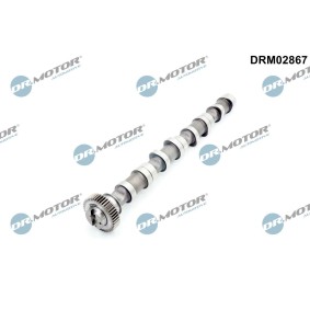 Acquista Albero a camme da DR.MOTOR AUTOMOTIVE DRM02867 a buon mercato per soli 89,50 €