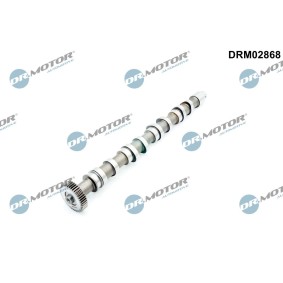 Acquista Albero a camme da DR.MOTOR AUTOMOTIVE DRM02868 a buon mercato per soli 93,11 €
