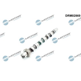 Acquista Albero a camme da DR.MOTOR AUTOMOTIVE DRM02869 a buon mercato per soli 89,50 €