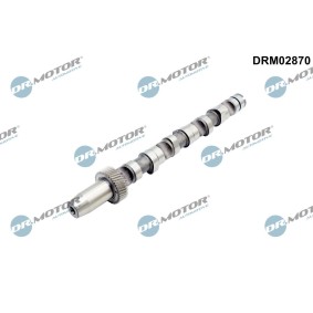 Acquista Albero a camme da DR.MOTOR AUTOMOTIVE DRM02870 a buon mercato per soli 87,88 €