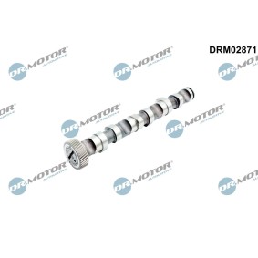 Acquista Albero a camme da DR.MOTOR AUTOMOTIVE DRM02871 a buon mercato per soli 89,50 €