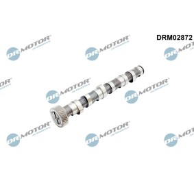 Acquista Albero a camme da DR.MOTOR AUTOMOTIVE DRM02872 a buon mercato per soli 89,50 €