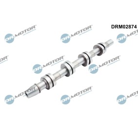 Acquista Albero a camme da DR.MOTOR AUTOMOTIVE DRM02874 a buon mercato per soli 132,09 €