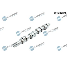 Acquista Albero a camme da DR.MOTOR AUTOMOTIVE DRM02875 a buon mercato per soli 132,09 €
