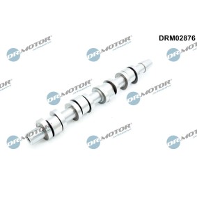 Acquista Albero a camme da DR.MOTOR AUTOMOTIVE DRM02876 a buon mercato per soli 100,46 €