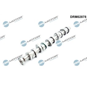 Acquista Albero a camme da DR.MOTOR AUTOMOTIVE DRM02878 a buon mercato per soli 132,09 €