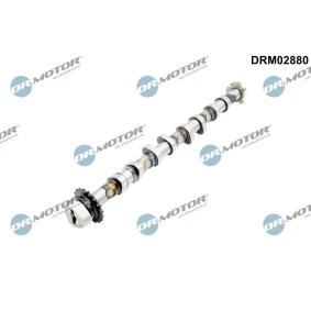 Acquista Albero a camme da DR.MOTOR AUTOMOTIVE DRM02880 a buon mercato per soli 139,66 €