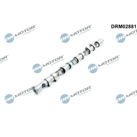 Acquista Albero a camme da DR.MOTOR AUTOMOTIVE DRM02881 a buon mercato per soli 109,44 €