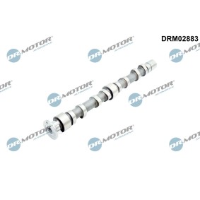 Acquista Albero a camme da DR.MOTOR AUTOMOTIVE DRM02883 a buon mercato per soli 72,45 €