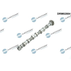 Acquista Albero a camme da DR.MOTOR AUTOMOTIVE DRM02884 a buon mercato per soli 110,90 €