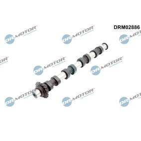 Nockenwelle von DR.MOTOR AUTOMOTIVE DRM02886