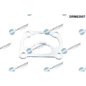 Achetez des Joint de turbo DR.MOTOR AUTOMOTIVE DRM02957 à prix pour 21,94 €