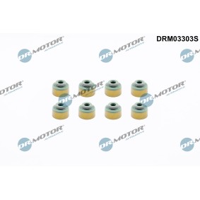 Dichtungssatz, Ventilschaft DRM03303S