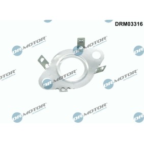 Achetez des Joint, flexible vanne EGR DR.MOTOR AUTOMOTIVE DRM03316 à prix pour 4,74 €
