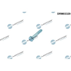 Osta Ruuvi ruiskutussuutinpidike DR.MOTOR AUTOMOTIVE:llä DRM03329 edullisesti hintaan 2,34 €