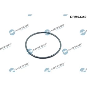 Dichtung, Ansaugkrümmergehäuse von DR.MOTOR AUTOMOTIVE DRM03349