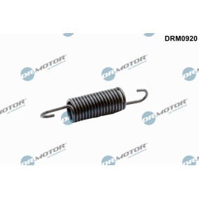 Køb Fjeder, koblingspedal af DR.MOTOR AUTOMOTIVE DRM0920 til den lave pris 117,10 DKK