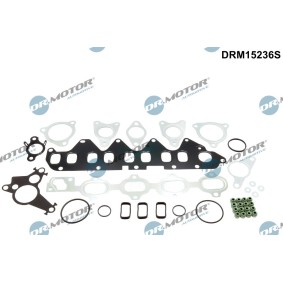 Dichtungssatz, Zylinderkopf DRM15236S