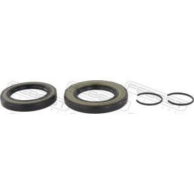 Wellendichtring, Differential KIT-BZ163R