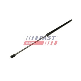 Heckklappendämpfer FT94804