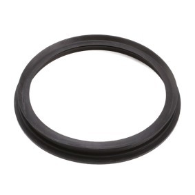 Dichtung, Kraftstoffpumpe 501 432