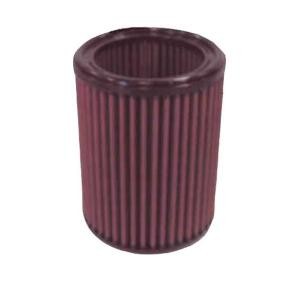 Kjøp Luftfilter av K&N Filters E-9183 til den lave prisen 979,38 NOK