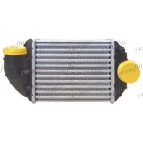 Kjøp Intercooler av FRIGAIR 0710.3025 til den lave prisen 2347,02 NOK