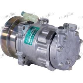 Acquista Compressore aria condizionata da FRIGAIR 920.20107 a buon mercato per soli 505,89 €