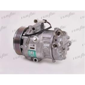 Acquista Compressore aria condizionata da FRIGAIR 920.20132 a buon mercato per soli 499,53 €