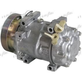 Acquista Compressore aria condizionata da FRIGAIR 920.20216 a buon mercato per soli 620,58 €