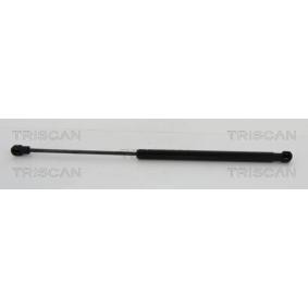 Heckklappendämpfer 8710 29286 von TRISCAN günstig für 26,78 € online kaufen