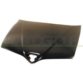 Motorhaube AA0703100