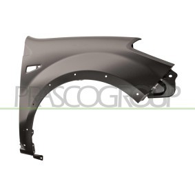 Kotflügel DS0023004