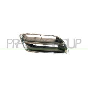Kühlergrill DS1752103