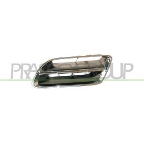 Kühlergrill DS1752104